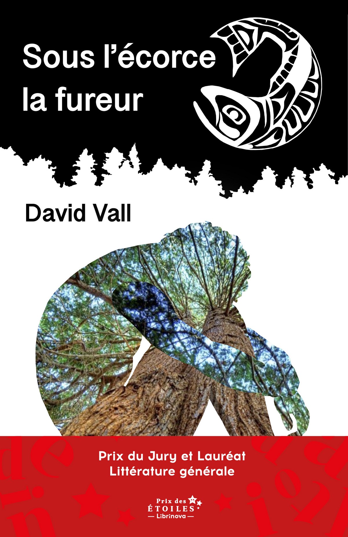 David Vall